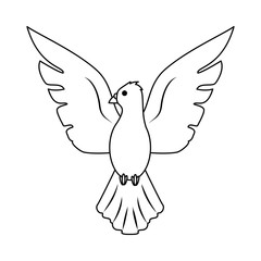 Dove bird cartoon icon vector illustration graphic design