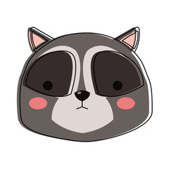 Cute raccoon cartoon icon vector illustration graphic design