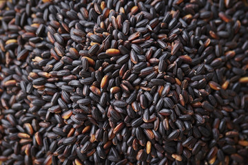 black rice 