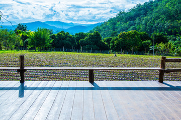 Thai style terrace in Chiangmai city