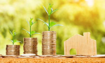 wooden house model and step of coins stacks with tree growing on top, nature background, money, saving and investment or family planning concept, over sun flare silhouette tone.