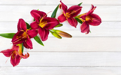 Flowers lilies daylily (Red Magic) on background of white painted wooden planks with space for text. Top view, flat lay
