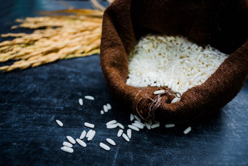 Thailand Rice on wooden table, rice in sackcloth and rice paddy on black wood,rice in sack,white rice in burlap sack with rice grain on the black wood