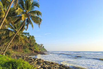 Fototapeta na wymiar Palms, beach, Varkala vacation destination, India