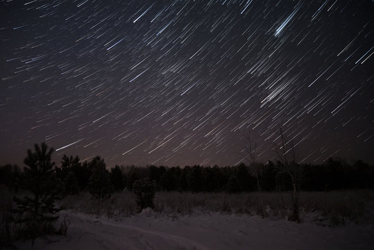 star tracks forest sky spruce