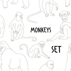 Different types of monkeys pattern