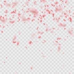 Scattered Sakura petals on transparent background. EPS 10 vector