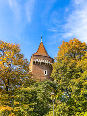 Fragment of the Royal Wawel Castle in Krakow, Poland.