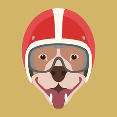Obraz premium dog face in motorcycle helmet vector illustration flat