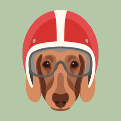 dog face in motorcycle helmet vector illustration flat