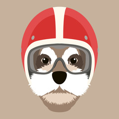 dog face in motorcycle helmet vector illustration flat