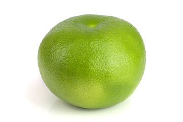 Citrus Sweetie or Pomelit, oroblanco isolated on white background close-up