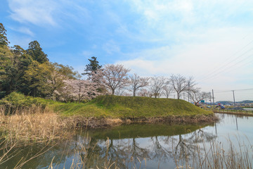 春の佐倉の田園風景
