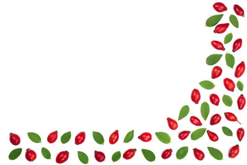 rosehip berries isolated on white background with copy space for your text. Flat lay pattern. Top view