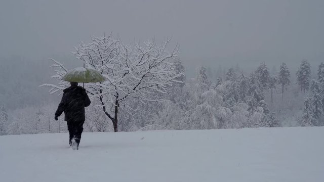 Man with umbrella shake snow from tree - (4K)