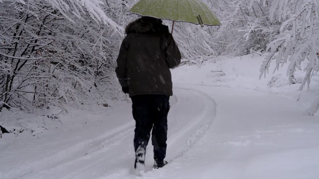 Man goes in deep snow under branches with umbrella - (4K)