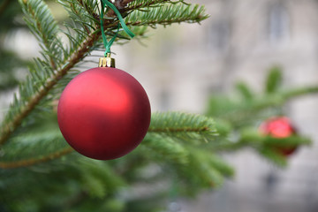Boule de Noël rouge dans sapin vert