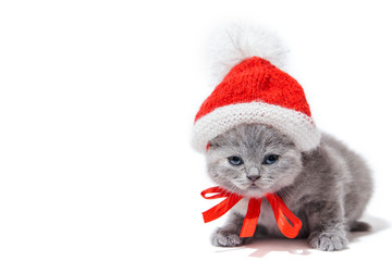 Little british kitten wearing Santa's hat isolated on white background