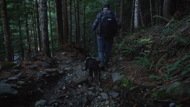 Dog and Hiker Reaching Trails End in Rugged Wilderness Terrain