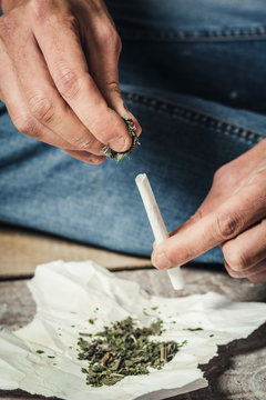 A drug addict makes a cigarette with marijuana. The concept of drug abuse and traffic