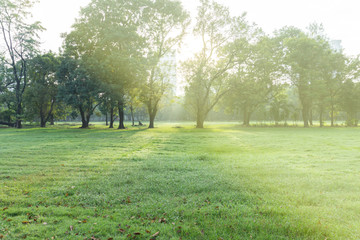 Beautiful green public park in city, Thailand.