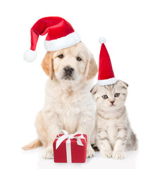 Funny kitten and golden retriever puppy in red christmas hats with gift box. isolated on white background