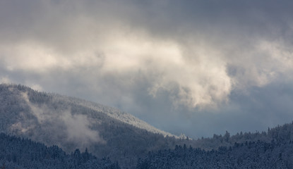 Neige et brume sur les Vosges