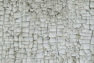 Texture of greenish-gray old paint.