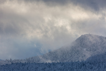 Montagne des Vosges en hiver