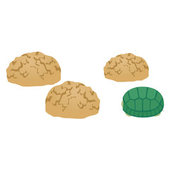 まころんとカメ