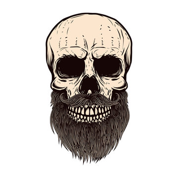 Bearded skull illustration on white background. Design element for poster, emblem, sign, t shirt. Vector illustration