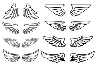Set of wings icons. Design elements for logo, label, emblem, sign. Vector illustration