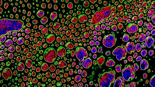 bunte Blasen schwimmen