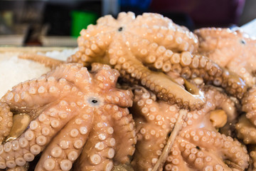 fresh octopus on a fish market