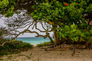 Beach Tulum - Quintana Roo - Mexico