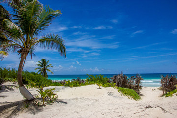 Sian Ka'an beach - Tulum - Quintana Roo - Mexico