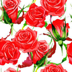 Wildflower rose flower pattern in a watercolor style. Full name of the plant: red rose, hulthemia. Aquarelle wild flower for background, texture, wrapper pattern, frame or border.