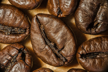 fried brown coffee grain, macro abstraction background