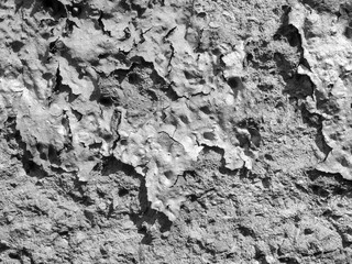 Damaged wall paint BW