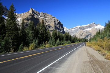 Fototapeta premium Icefield Parway, Canada on bright sunny day