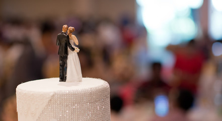 wedding doll cake. love couple . teddy bear on wedding cake