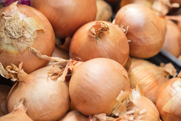 group of onions on the market in Italy