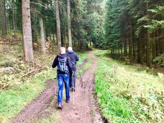 Fototapeta premium Hikers in the forrest