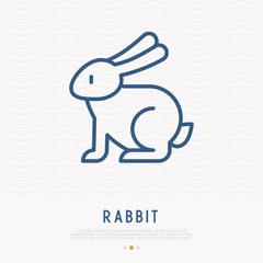 Rabbit thin line icon. Modern vector illustration of Easter symbol.
