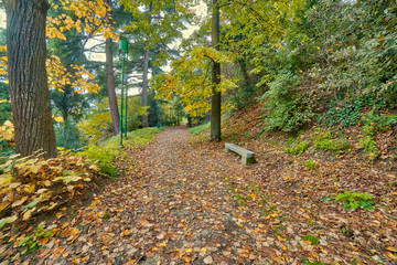 path in autumnal landscape