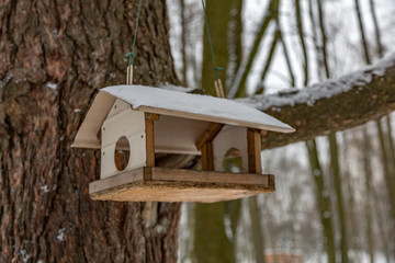 Wooden bird feeder in the snow-covered winter city park
