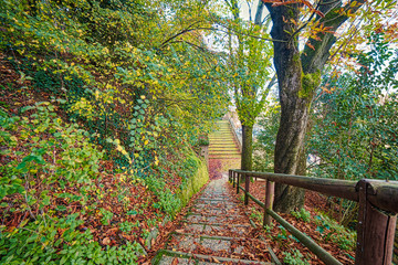 path in autumnal landscape