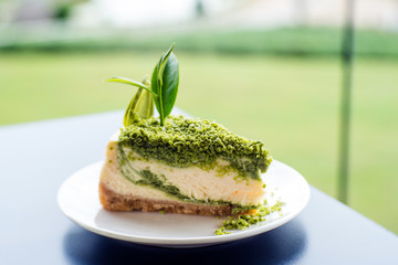 green tea cheese cake dessert on white dish