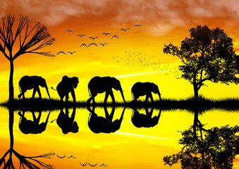 Naklejka na ściany i meble familia de elefantes paseando por la orilla del rio