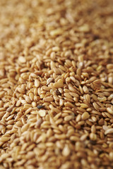 flaxseeds